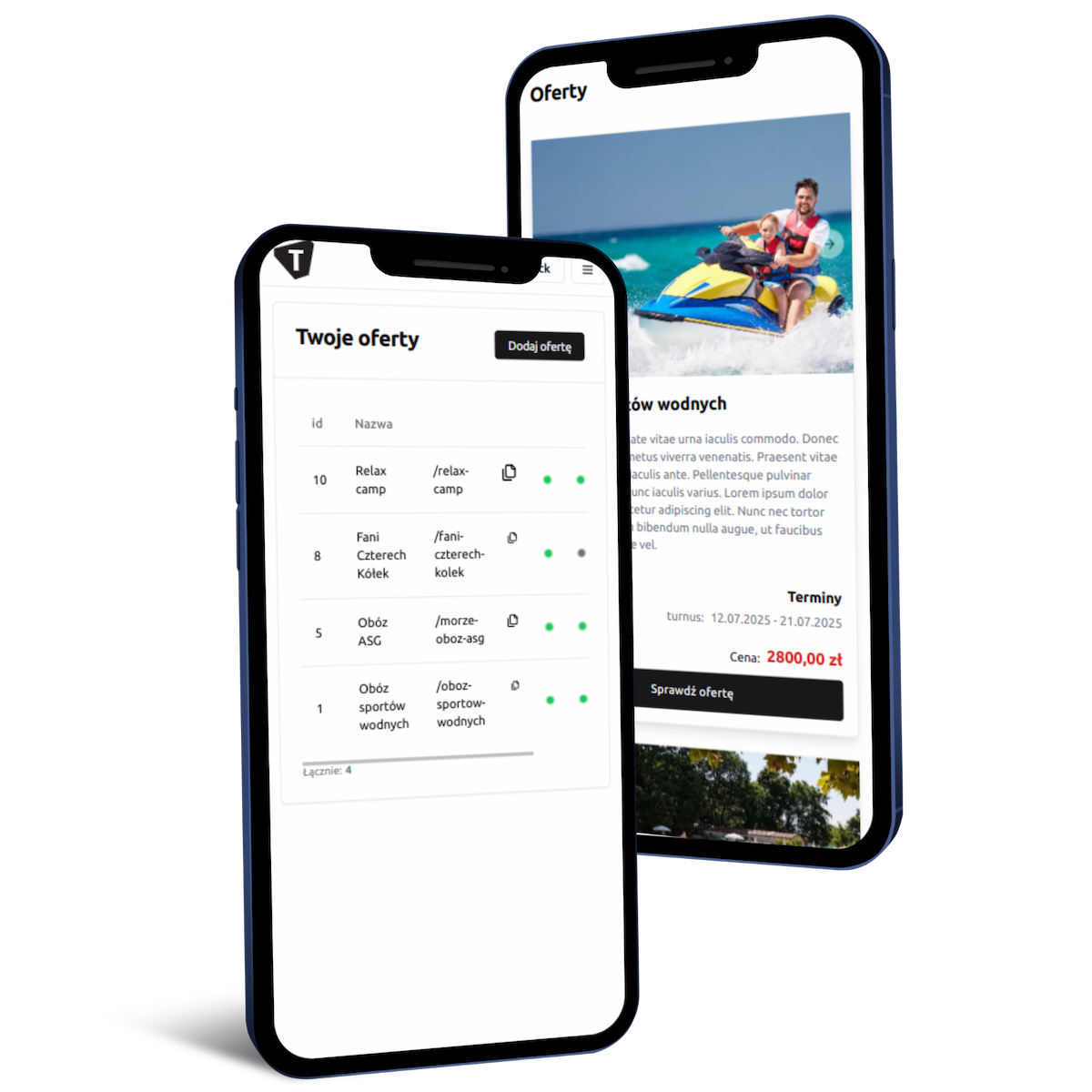 offerTitle